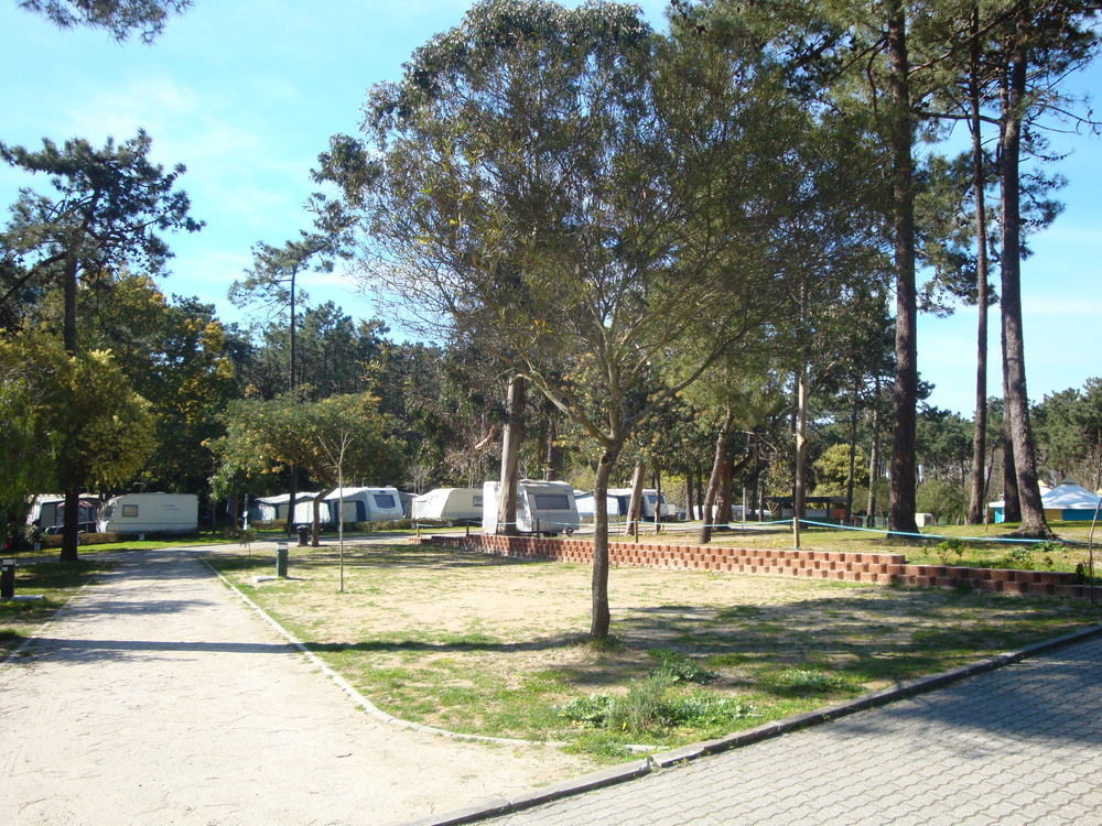 Hôtel Parque De Campismo Orbitur Caminha Extérieur photo